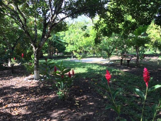 Hospedaje En El Lago San Pedro Sula Bagian luar foto